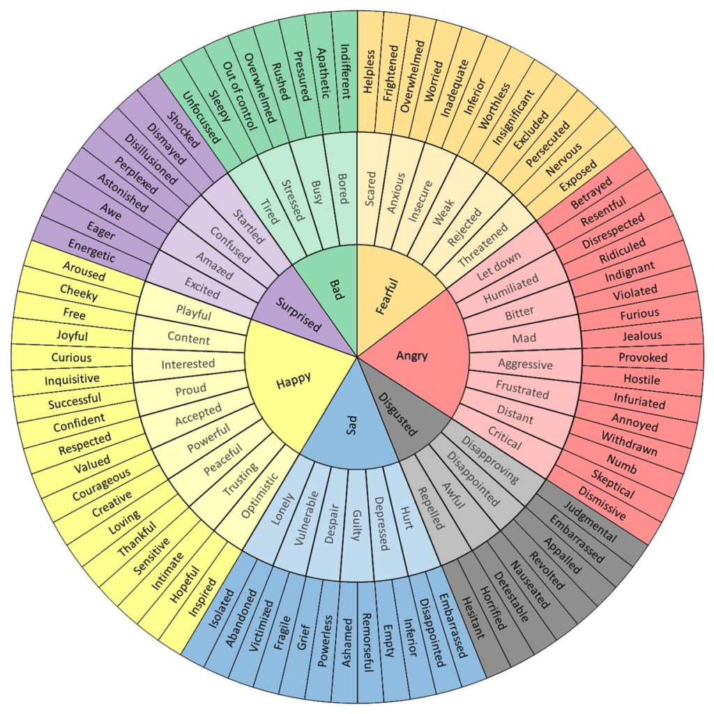 The feelings wheel with dozens of feelings to choose from. The most center feelings, or the most basic ones, are: Bad, Surprised, Happy, Sad, Disgusted, Angry, Fearful