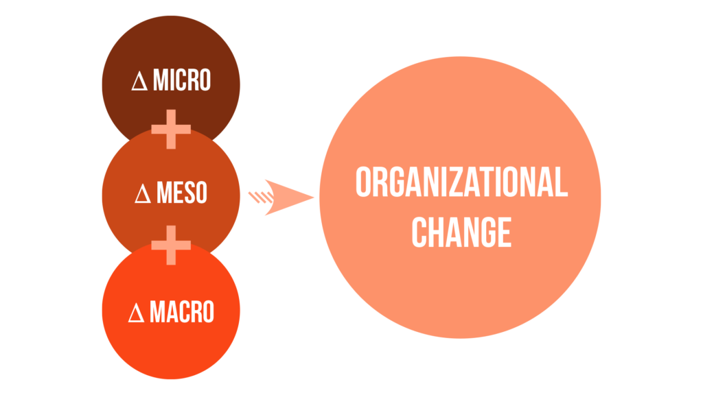 Micro Meso Macro Organizational Change Diversity Equity Inclusuin